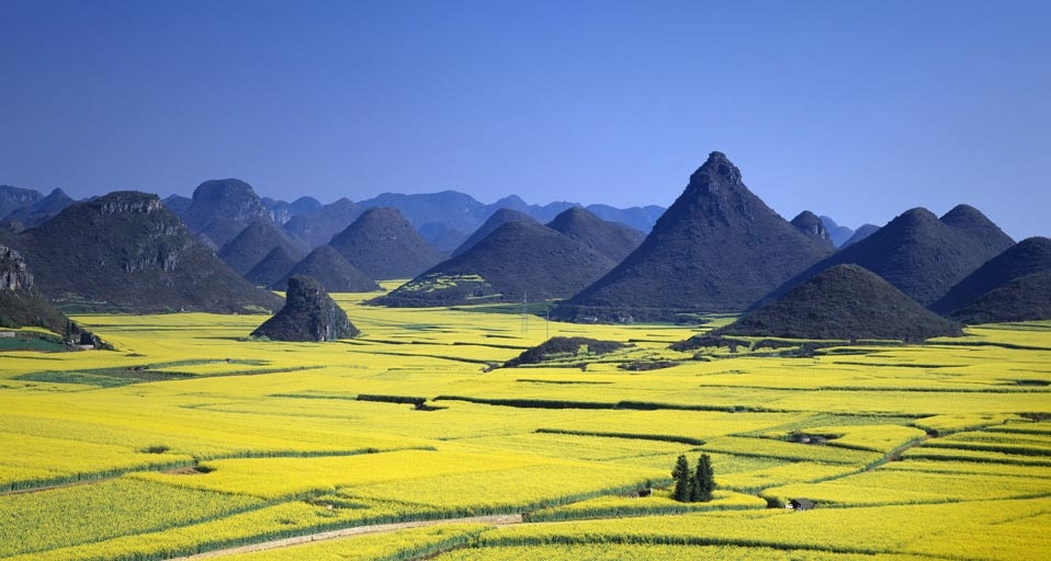 中国云南罗平的油菜花田(JTB Photo/Photolibrary ©) - 2010/04/07 中国云南罗平的油菜花田(JTB Photo/Photolibrary ©) - 2010/04/07