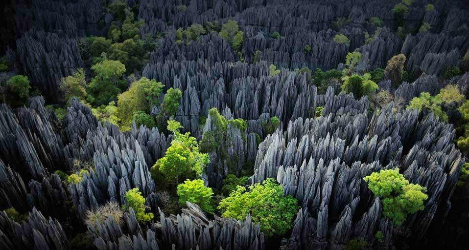 马达加斯加喀斯特石灰岩层地质奇观(Frans Lanting/Corbis ©) - 2010/05/28 马达加斯加喀斯特石灰岩层地质奇观(Frans Lanting/Corbis ©) - 2010/05/28