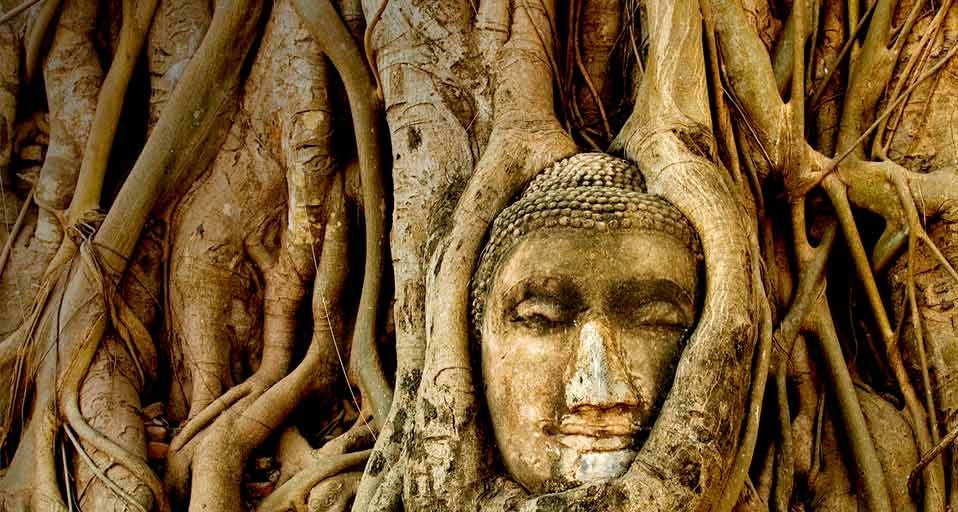 泰国艾尤塔雅的著名景观,树根环抱佛头(Thom Lang/Corbis ©) - 2010/07/03 泰国艾尤塔雅的著名景观,树根环抱佛头(Thom Lang/Corbis ©) - 2010/07/03