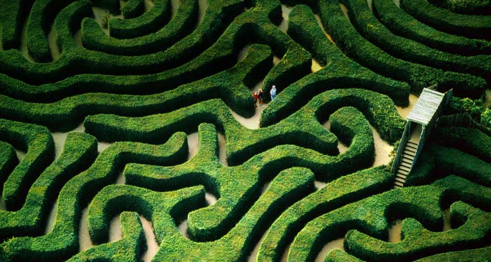 英国威尔特郡附近的树篱迷宫(Jason Hawkes/Getty Images ©) - 2010/08/07 英国威尔特郡附近的树篱迷宫(Jason Hawkes/Getty Images ©) - 2010/08/07