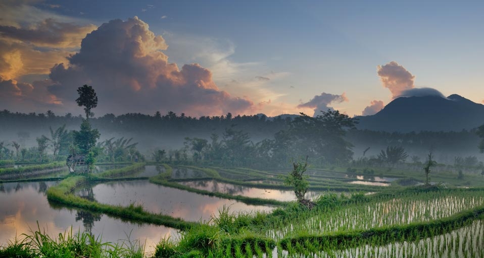 巴厘岛的稻田小景(SIME/eStock Photo ©) - 2010/08/10 巴厘岛的稻田小景(SIME/eStock Photo ©) - 2010/08/10