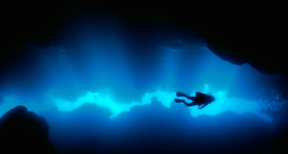 潜水员在洪都拉斯的罗阿坦岛潜水(Norbert Wu/Science Faction/Corbis ©) - 2010/08/23 潜水员在洪都拉斯的罗阿坦岛潜水(Norbert Wu/Science Faction/Corbis ©) - 2010/08/23