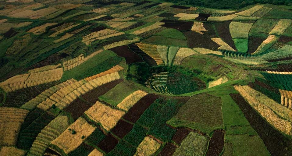 卢旺达维龙加山脉上的小麦梯田(George Steinmetz/Corbis ©) - 2010/10/16 卢旺达维龙加山脉上的小麦梯田(George Steinmetz/Corbis ©) - 2010/10/16