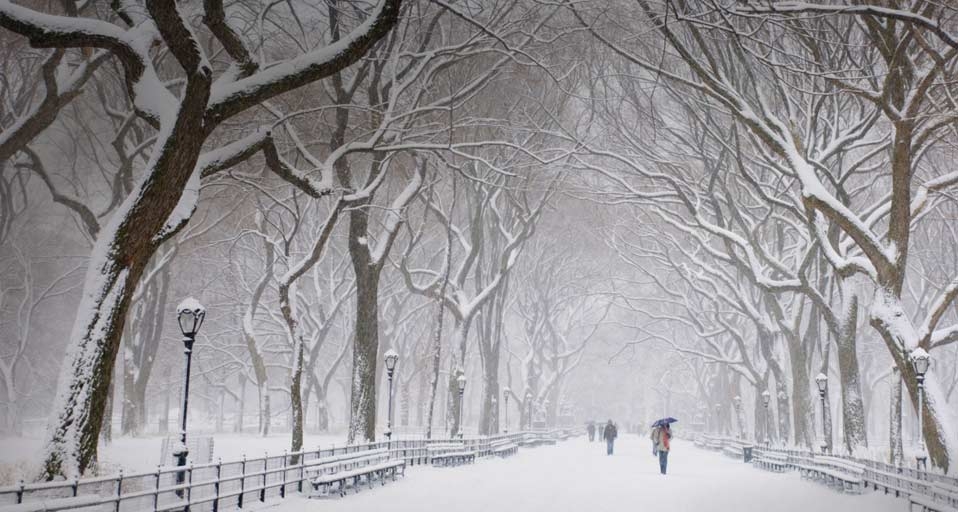 纽约中央公园的冬天(Ellen Rooney/Getty Images ©) - 2010/12/06 纽约中央公园的冬天(Ellen Rooney/Getty Images ©) - 2010/12/06