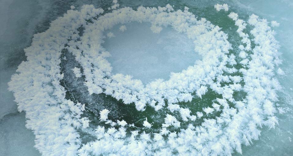 瑞典阿比斯库国家公园中的“冰花”(Michael Krabs/imagebroker.net/Photolibrary ©) - 2011/01/04 瑞典阿比斯库国家公园中的“冰花”(Michael Krabs/imagebroker.net/Photolibrary ©) - 2011/01/04