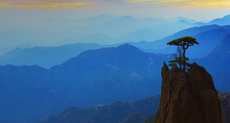 黄山白云景区的松树(© Radius Images) ©) - 2011/11/10 黄山白云景区的松树(© Radius Images) ©) - 2011/11/10