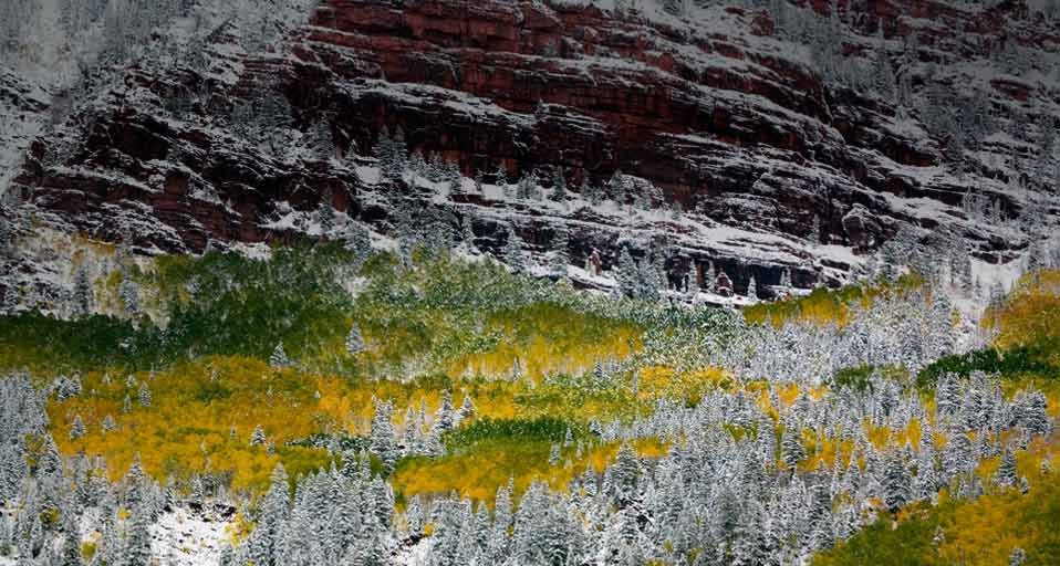 科罗拉多州白杨与岩壁上的雪(© Terry Eggers/Danita Delimont) ©) - 2011/11/21 科罗拉多州白杨与岩壁上的雪(© Terry Eggers/Danita Delimont) ©) - 2011/11/21