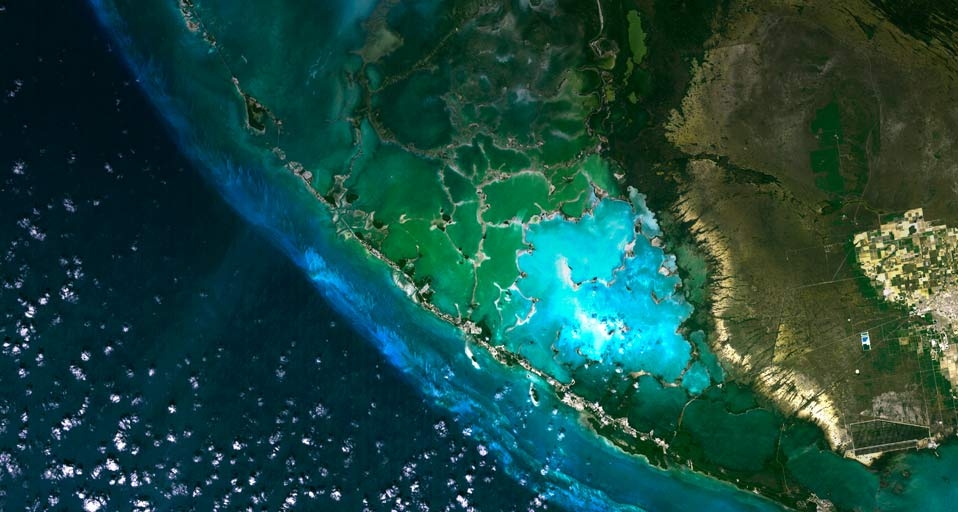 卫星拍摄的佛罗里达州沼泽地(© Universal Images Group/SuperStock) ©) - 2011/12/05 卫星拍摄的佛罗里达州沼泽地(© Universal Images Group/SuperStock) ©) - 2011/12/05