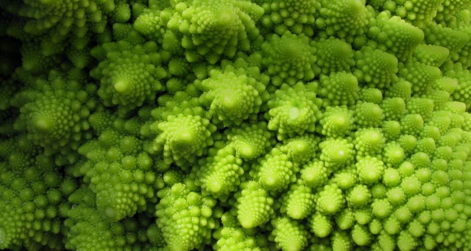 罗马花椰菜(© Martha Lazar/Getty) ©) - 2011/12/14 罗马花椰菜(© Martha Lazar/Getty) ©) - 2011/12/14