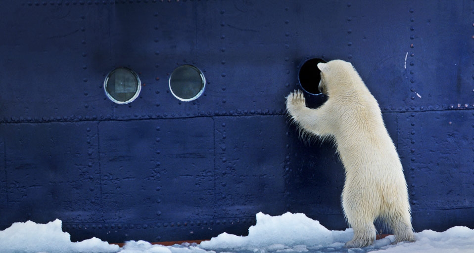 向船内偷窥的北极熊(© Arndt Sven-Erik/ArTerra Picture Library/Age Fotostock) ©) - 2012/02/01 向船内偷窥的北极熊(© Arndt Sven-Erik/ArTerra Picture Library/Age Fotostock) ©) - 2012/02/01