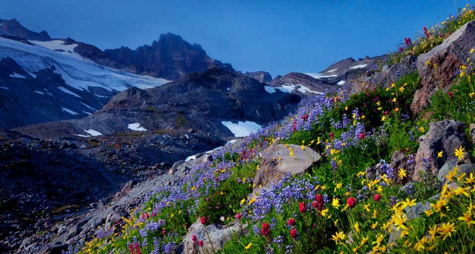 华盛顿州雷尼尔山国家公园(© Stephen Matera) ©) - 2012/03/05 华盛顿州雷尼尔山国家公园(© Stephen Matera) ©) - 2012/03/05