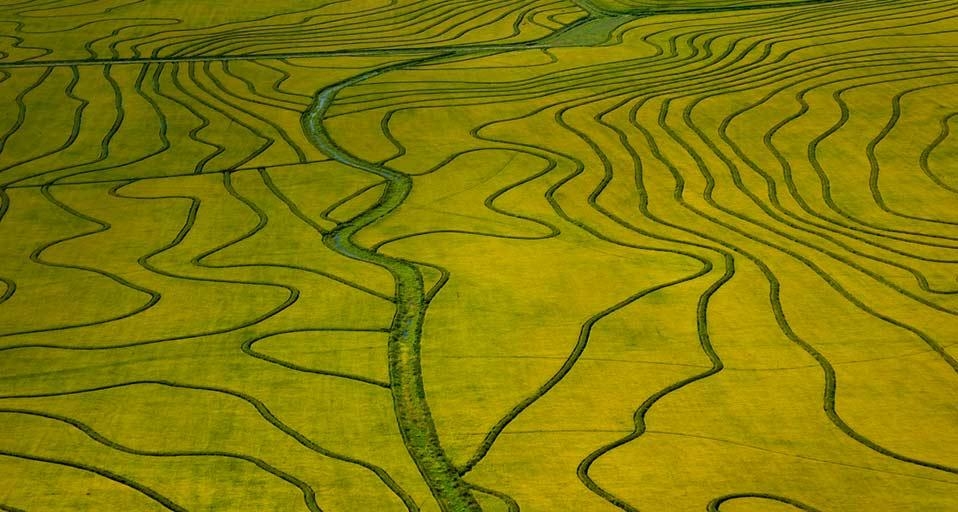 鸟瞰乌拉圭成熟的稻田(© Guillermo Robles/Corbis) ©) - 2012/03/23 鸟瞰乌拉圭成熟的稻田(© Guillermo Robles/Corbis) ©) - 2012/03/23