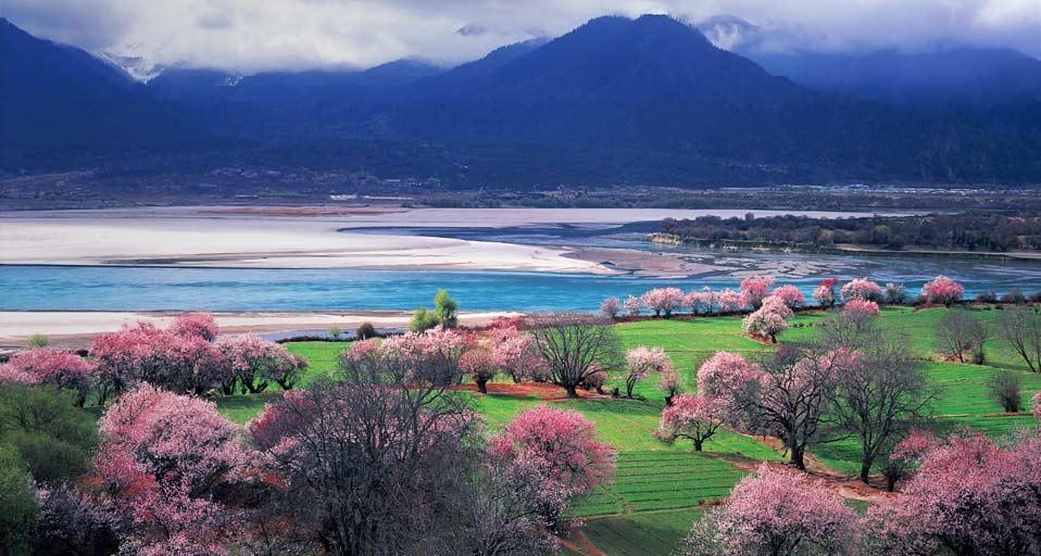 西藏林芝风景如画的花谷(© TAO Images Limited/Getty Images) ©) - 2012/05/04 西藏林芝风景如画的花谷(© TAO Images Limited/Getty Images) ©) - 2012/05/04