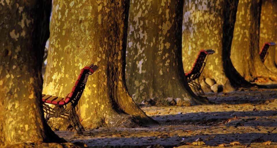 葡萄牙蓬蒂·迪利马的大街(© Juan Carlos Zamarreño/age fotostock) ©) - 2012/05/21 葡萄牙蓬蒂·迪利马的大街(© Juan Carlos Zamarreño/age fotostock) ©) - 2012/05/21