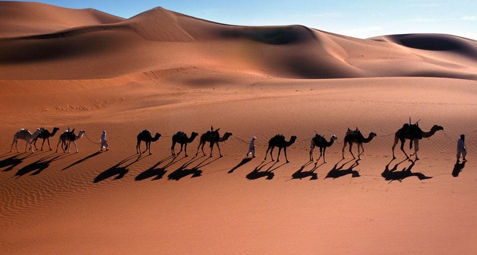 经过撒哈拉沙漠的骆驼商队(© Frans Lemmens/Super Stock) ©) - 2012/07/04 经过撒哈拉沙漠的骆驼商队(© Frans Lemmens/Super Stock) ©) - 2012/07/04