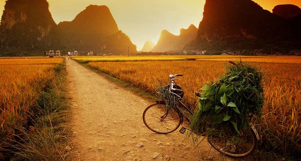 广西省,停放在稻田边的自行车(© Walter Bibikow/Taxi/Getty Images) ©) - 2012/08/14 广西省,停放在稻田边的自行车(© Walter Bibikow/Taxi/Getty Images) ©) - 2012/08/14
