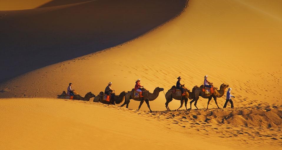 沙漠中的骆驼队(© Keren Su/Getty Images) ©) - 2012/09/24 沙漠中的骆驼队(© Keren Su/Getty Images) ©) - 2012/09/24