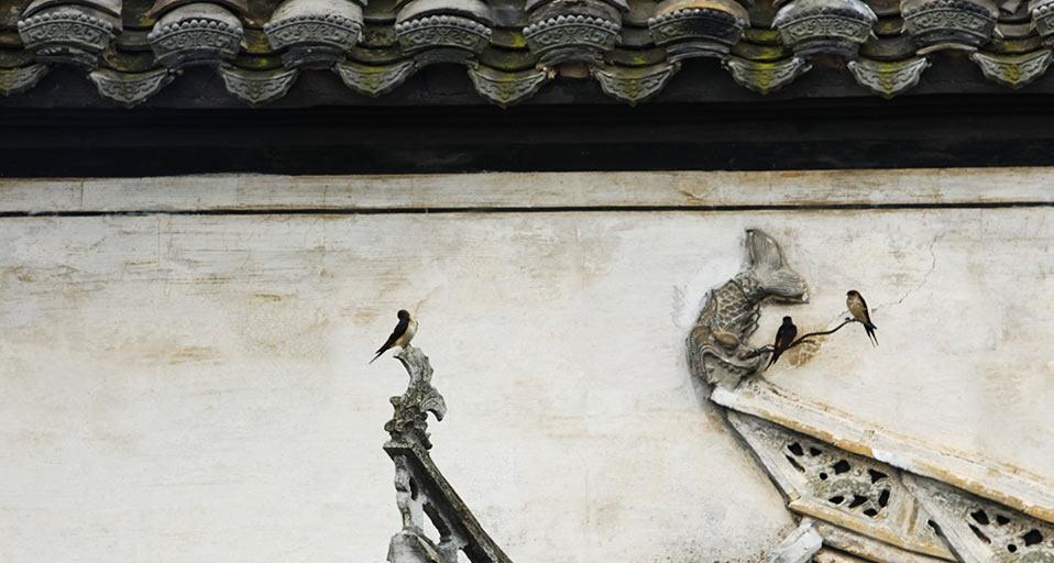 中国西递,鸟儿落在屋脊上(© Yang Liu/Corbis) ©) - 2012/09/26 中国西递,鸟儿落在屋脊上(© Yang Liu/Corbis) ©) - 2012/09/26