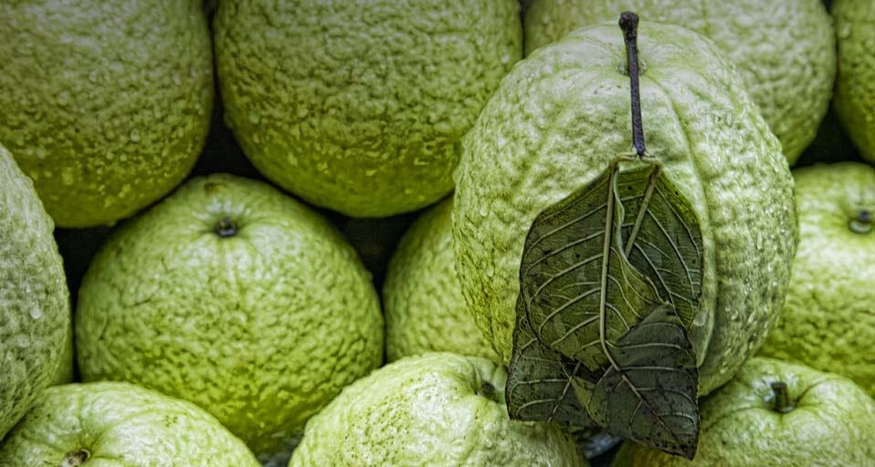 台北市场的番石榴(© Karen Walzer/Flickr/Getty Images) ©) - 2012/10/21 台北市场的番石榴(© Karen Walzer/Flickr/Getty Images) ©) - 2012/10/21