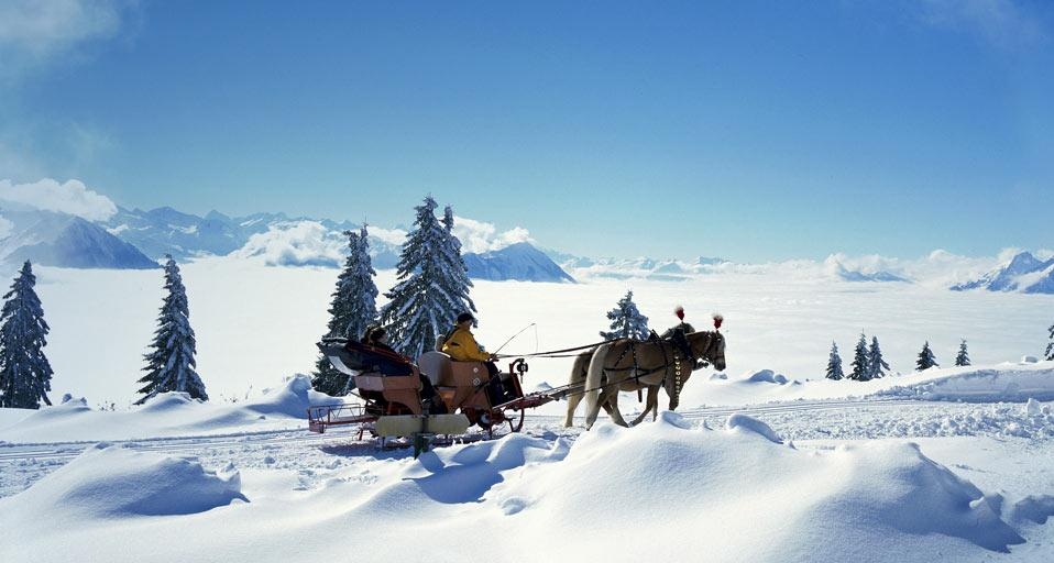 瑞士,马拉雪橇(© Sonderegger Christof/Alamy) ©) - 2012/12/16 瑞士,马拉雪橇(© Sonderegger Christof/Alamy) ©) - 2012/12/16