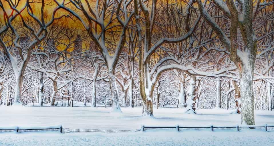 纽约暴风雪后的中央公园(© Mitchell Funk/Getty Images) ©) - 2013/01/05 纽约暴风雪后的中央公园(© Mitchell Funk/Getty Images) ©) - 2013/01/05