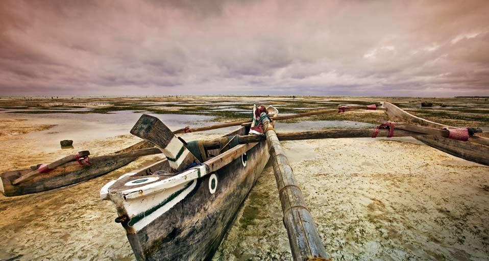 坦桑尼亚桑给巴尔岛的海滩(© Alvaro Leiva/age fotostock) ©) - 2013/01/18 坦桑尼亚桑给巴尔岛的海滩(© Alvaro Leiva/age fotostock) ©) - 2013/01/18