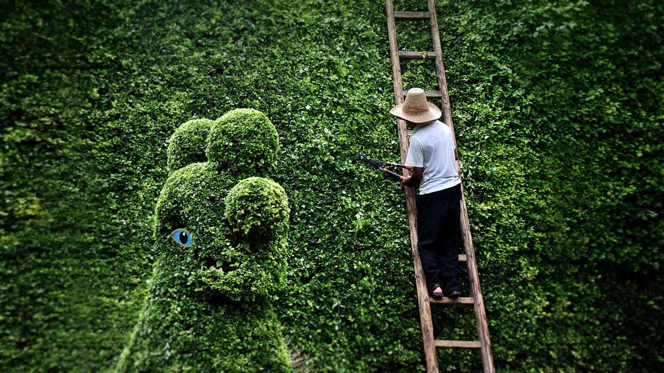 园艺(© Riccardo Vallini Pics/Flickr/Getty Images) - 2013/06/22 园艺(© Riccardo Vallini Pics/Flickr/Getty Images) - 2013/06/22