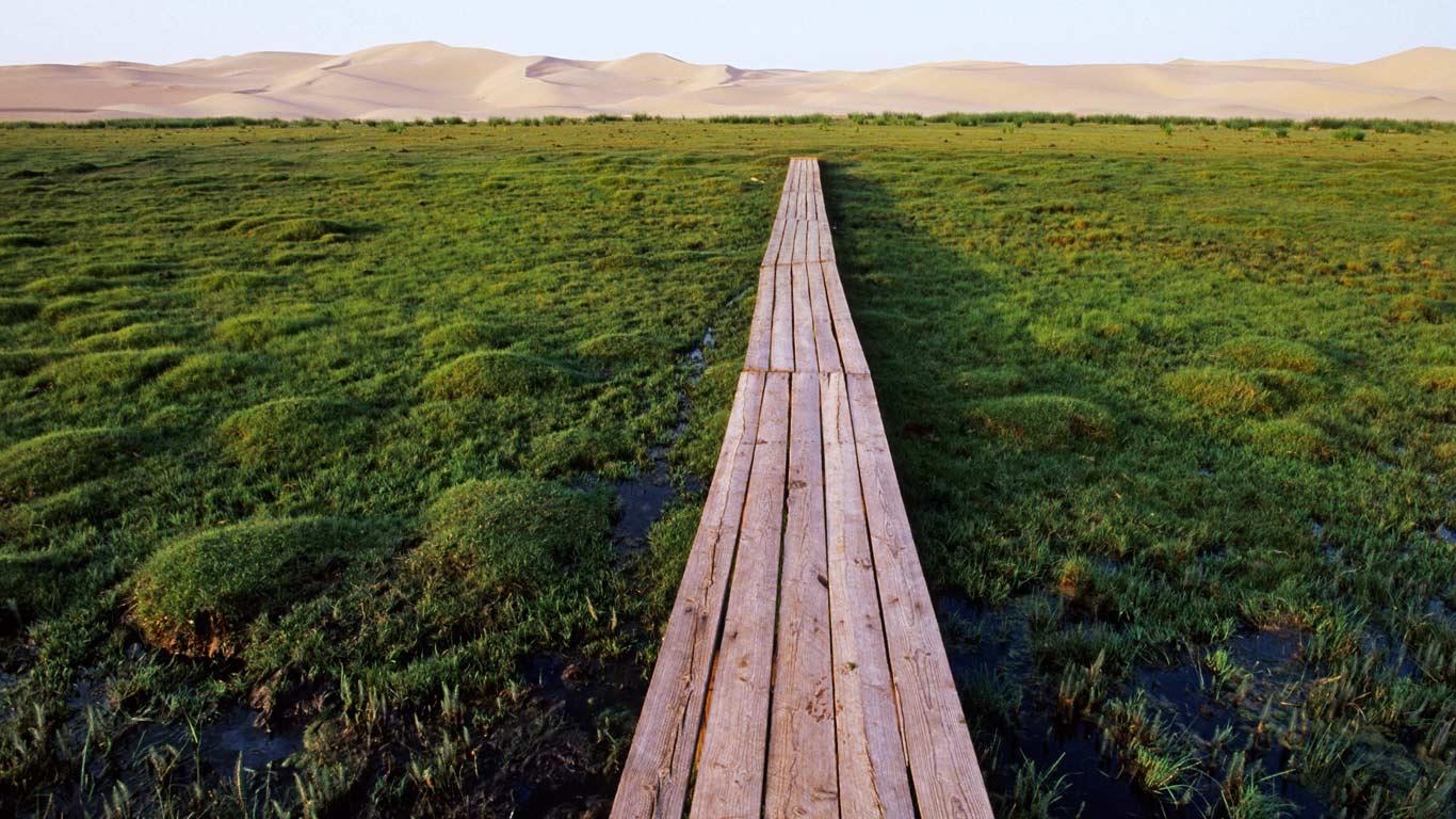 蒙古国戈壁沙漠干葛恩沙丘附近,沼泽地上方的桥(© Franck Guiziou/Hemis/Corbis) - 2013/06/29 蒙古国戈壁沙漠干葛恩沙丘附近,沼泽地上方的桥(© Franck Guiziou/Hemis/Corbis) - 2013/06/29