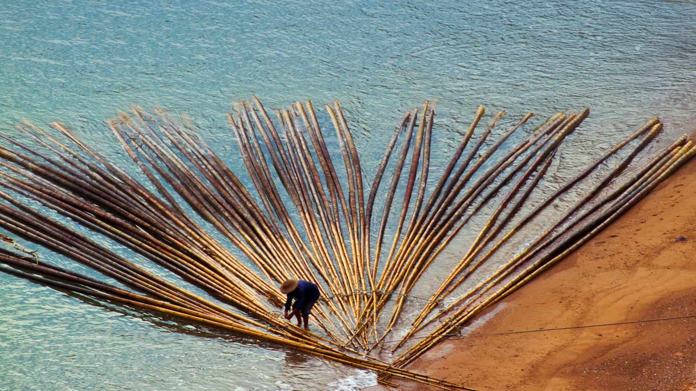 海水养殖用竹(© zhouyousifang/Flickr/Getty Images) - 2013/09/10 海水养殖用竹(© zhouyousifang/Flickr/Getty Images) - 2013/09/10