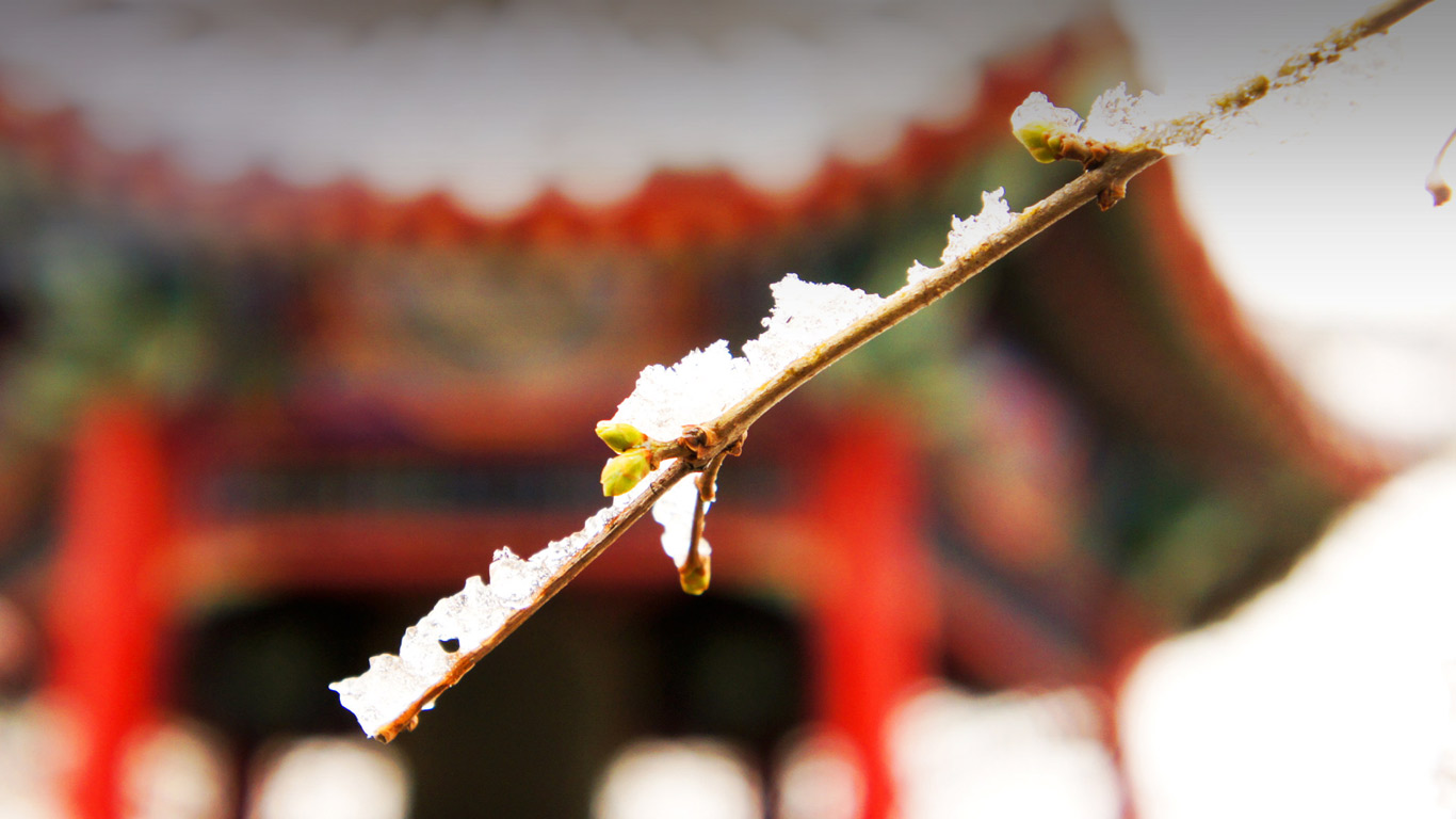 清华大学闻亭小雪(© Yu Cui) - 2013/11/21 清华大学闻亭小雪(© Yu Cui) - 2013/11/21