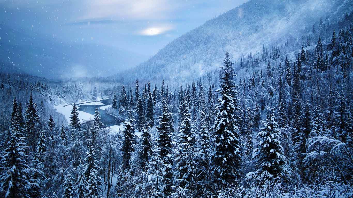 阿拉斯加州奇奈半岛(© GeoStills/Alamy) - 2013/12/17 阿拉斯加州奇奈半岛(© GeoStills/Alamy) - 2013/12/17