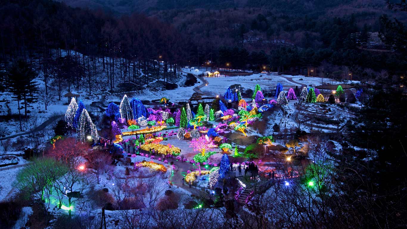 韩国京畿(jī)道,晨静树木园(© Panorama Stock) - 2013/12/24 韩国京畿(jī)道,晨静树木园(© Panorama Stock) - 2013/12/24