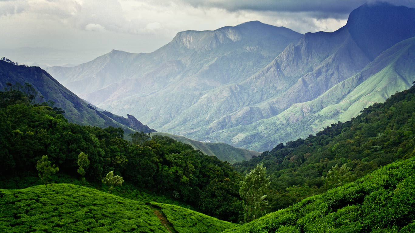 印度喀拉拉邦的蒙纳茶园(© Vidhu S/500px) - 2014/03/09 印度喀拉拉邦的蒙纳茶园(© Vidhu S/500px) - 2014/03/09