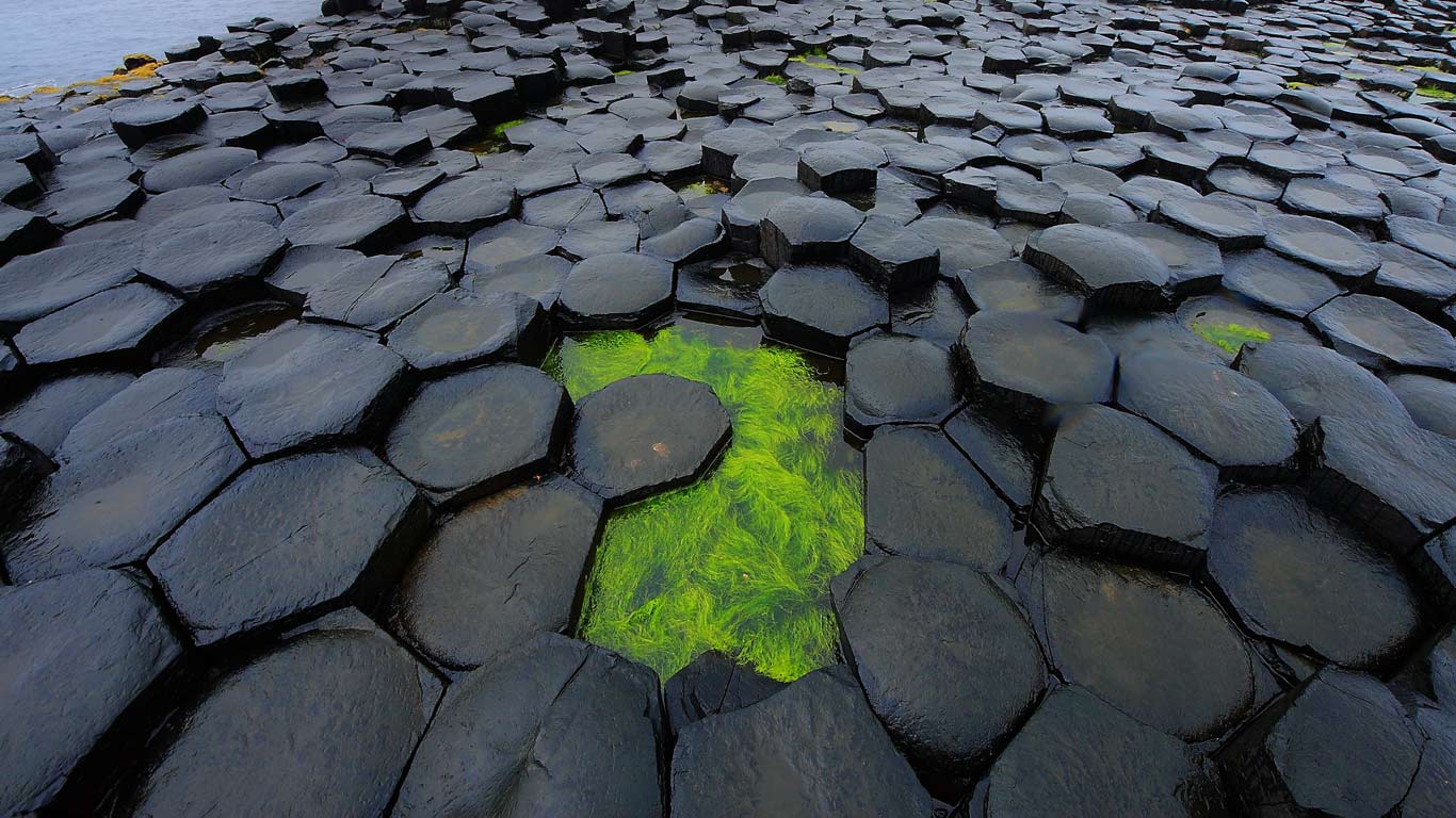 英国北爱尔兰安特里姆郡的巨人堤道(© Nando Pizzini Photography/Getty Images) - 2014/03/17 英国北爱尔兰安特里姆郡的巨人堤道(© Nando Pizzini Photography/Getty Images) - 2014/03/17