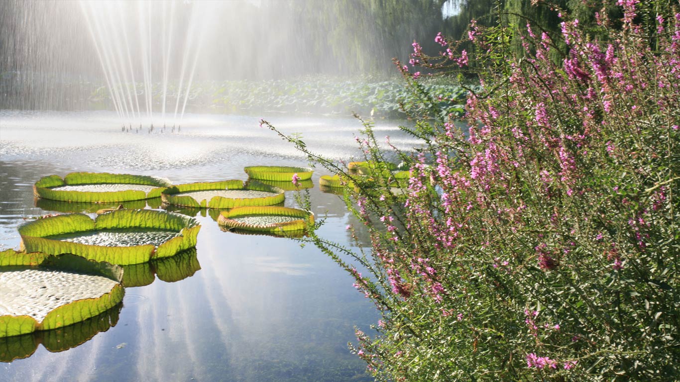 北京圆明园,湖中的喷泉(© zhu difeng/Alamy) - 2014/08/22 北京圆明园,湖中的喷泉(© zhu difeng/Alamy) - 2014/08/22