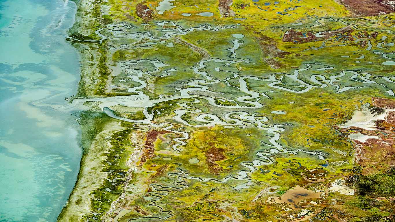 南非西海岸国家公园,兰格班泻湖(© Peter Chadwick/Science Photo Library) - 2014/08/23 南非西海岸国家公园,兰格班泻湖(© Peter Chadwick/Science Photo Library) - 2014/08/23