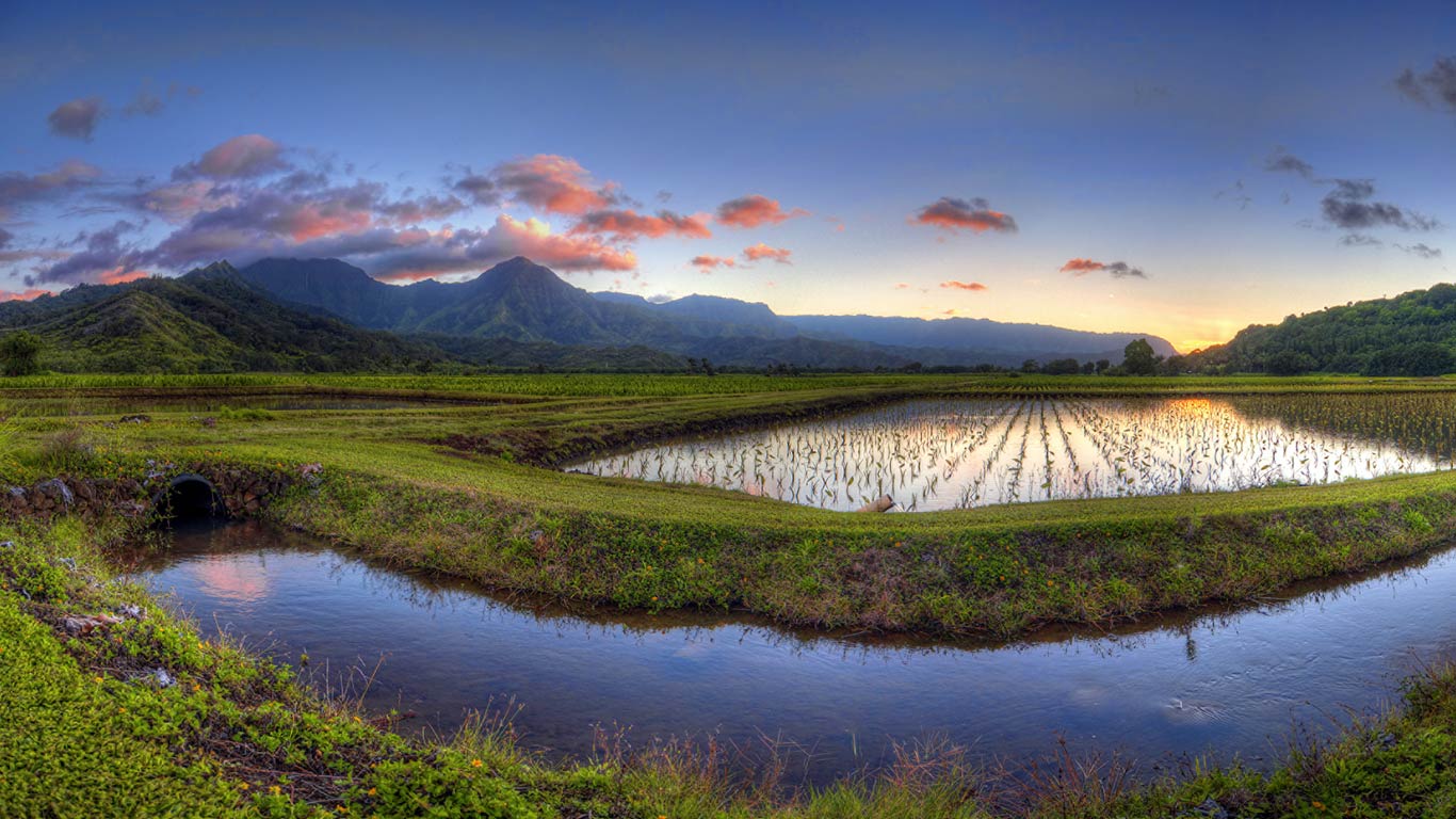 美国夏威夷州,考爱岛的哈纳雷山谷(© Ian Philip Miller/Getty Images) - 2014/08/30 美国夏威夷州,考爱岛的哈纳雷山谷(© Ian Philip Miller/Getty Images) - 2014/08/30
