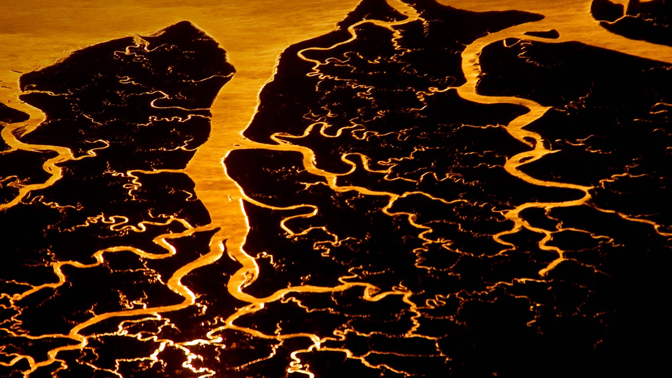 美国佛罗里达州,萨旺尼河三角洲(© Frans Lanting/Corbis) - 2014/12/03 美国佛罗里达州,萨旺尼河三角洲(© Frans Lanting/Corbis) - 2014/12/03