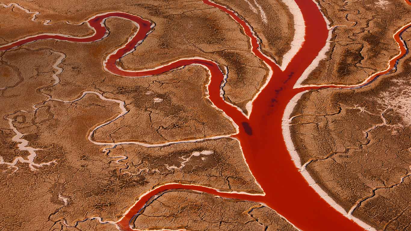 美国加州旧金山湾,盐沼(© Art Wolfe/Mint Images) - 2014/12/15 美国加州旧金山湾,盐沼(© Art Wolfe/Mint Images) - 2014/12/15