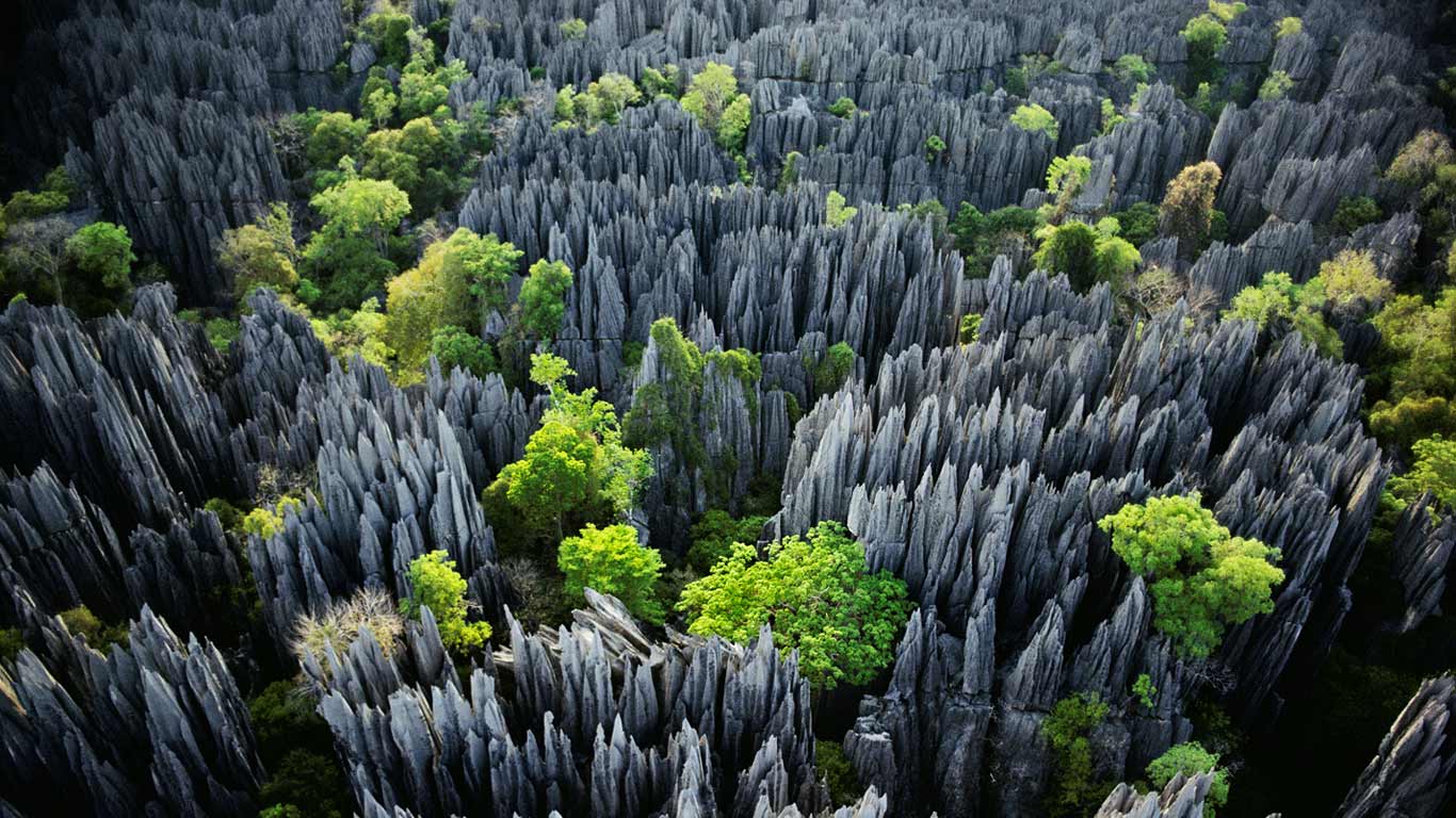 马达加斯加,贝马拉哈国家公园(© Frans Lanting/Mint) - 2015/01/30 马达加斯加,贝马拉哈国家公园(© Frans Lanting/Mint) - 2015/01/30