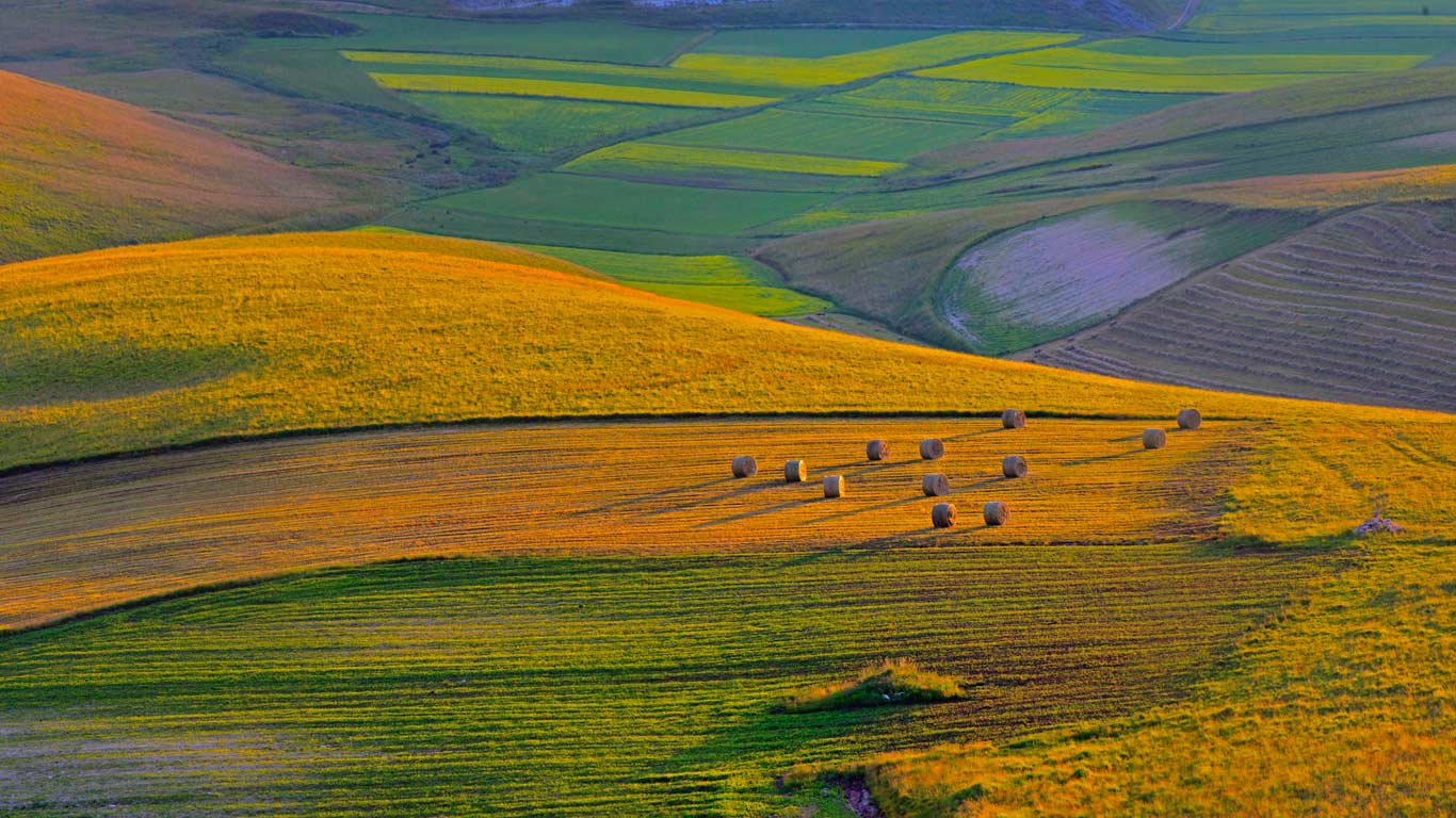 意大利佩鲁贾地区,日落时分的农田(© SIME/eStock Photo) - 2015/06/03 意大利佩鲁贾地区,日落时分的农田(© SIME/eStock Photo) - 2015/06/03