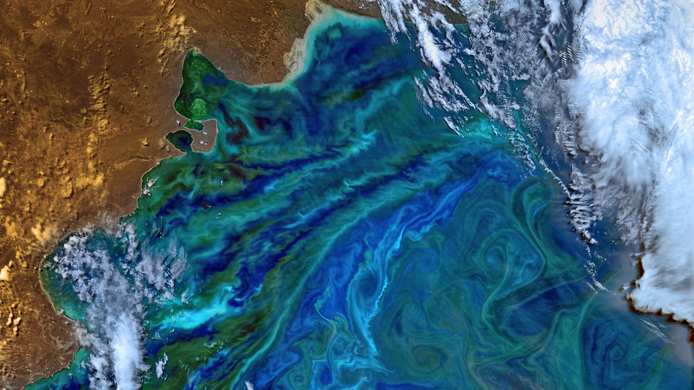 被浮游生物侵蚀的南美洲大西洋海岸(© NASA) - 2015/06/08 被浮游生物侵蚀的南美洲大西洋海岸(© NASA) - 2015/06/08