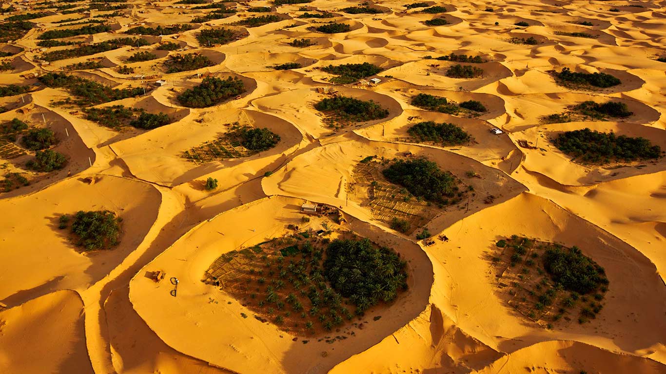 阿尔及利亚,提米蒙附近的沙漠绿洲(© George Steinmetz/Corbis) - 2015/06/23 阿尔及利亚,提米蒙附近的沙漠绿洲(© George Steinmetz/Corbis) - 2015/06/23