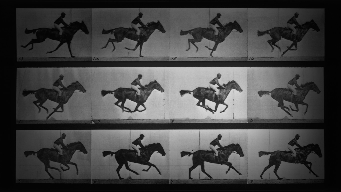 埃德沃德 ·?迈布里奇的无声短片:飞驰中的萨利·加德纳(© Eadweard Muybridge/Corbis) - 2016/01/14 埃德沃德 ·?迈布里奇的无声短片:飞驰中的萨利·加德纳(© Eadweard Muybridge/Corbis) - 2016/01/14