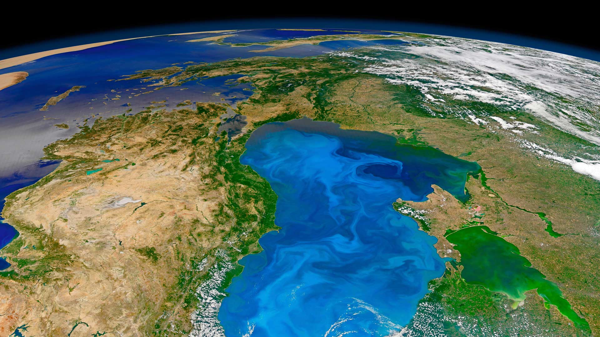 黑海表面绿意盎然的游离微生植物 (© NASA/Corbis) - 2016/04/22 黑海表面绿意盎然的游离微生植物 (© NASA/Corbis) - 2016/04/22