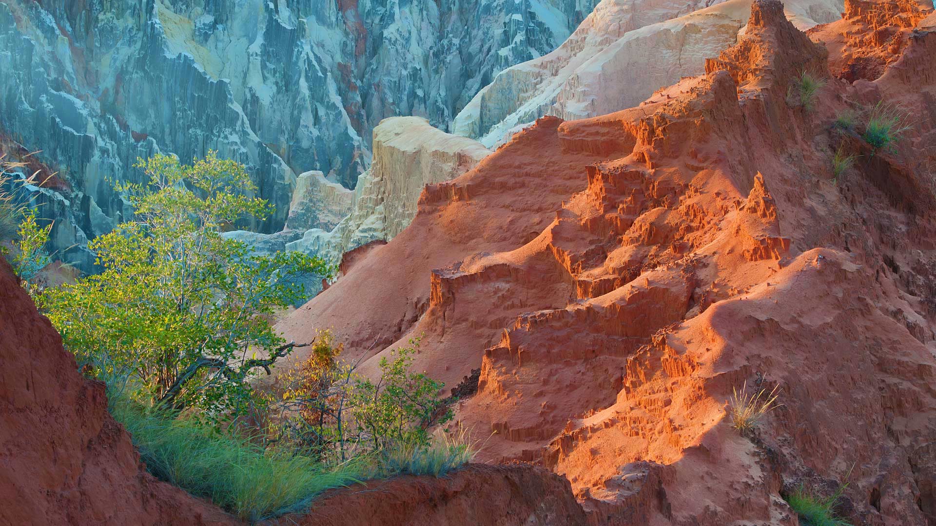 马达加斯加,安卡拉凡兹卡国家公园,Ankarokaroka canyon (© Bernard Castelein/Minden Pictures) - 2016/06/26 马达加斯加,安卡拉凡兹卡国家公园,Ankarokaroka canyon (© Bernard Castelein/Minden Pictures) - 2016/06/26