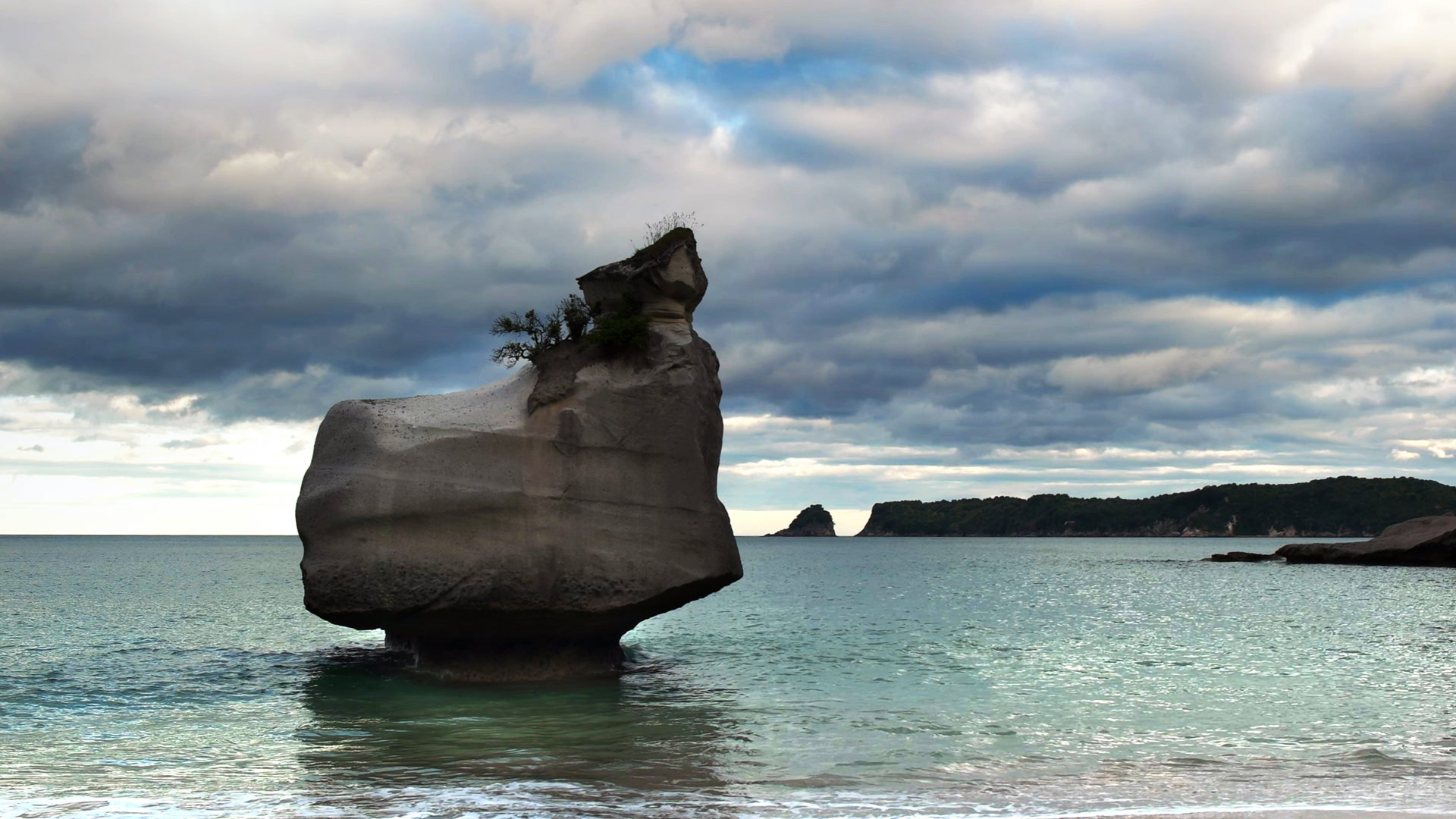 被侵蚀的海岩,北岛的教堂湾,新西兰 (© crbellette/Shutterstock) - 2016/07/12 被侵蚀的海岩,北岛的教堂湾,新西兰 (© crbellette/Shutterstock) - 2016/07/12