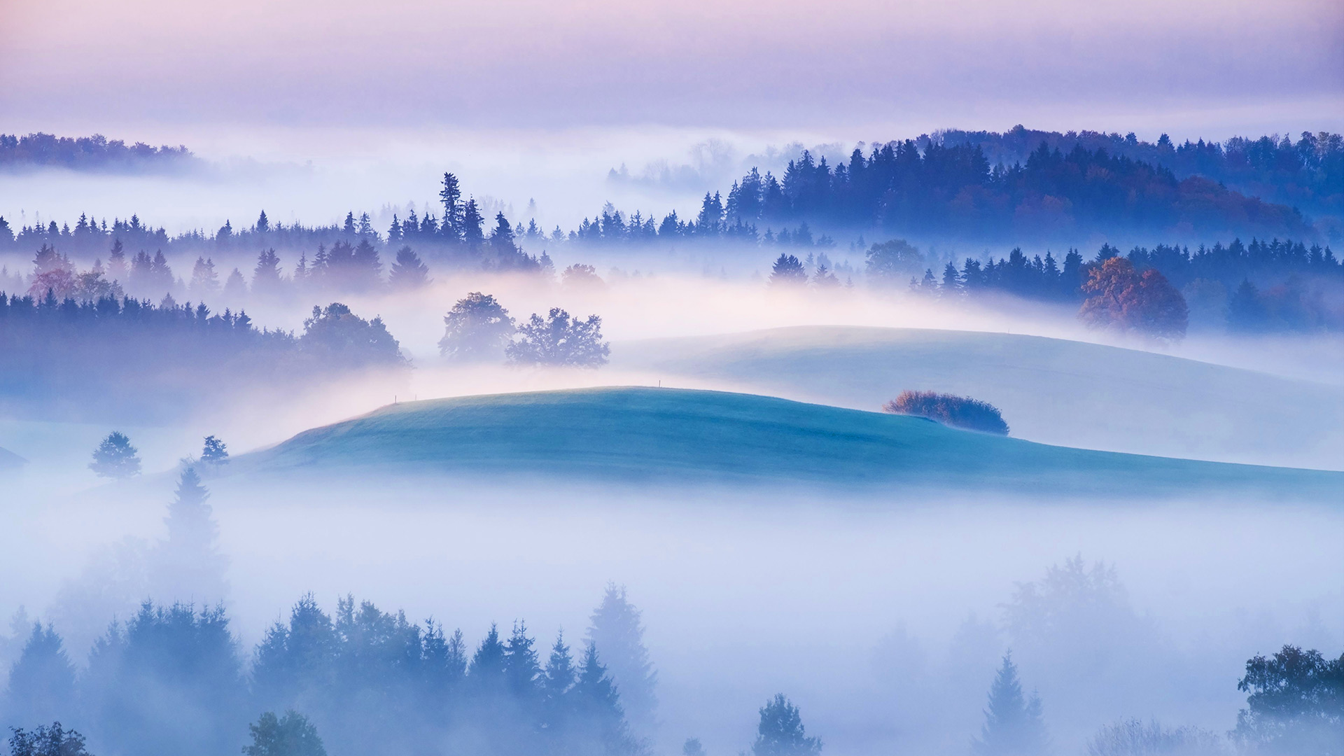 艾德林根高地上的晨雾,普法芬温克尔,巴伐利亚,德国 (© WestEnd61/REX/Shutterstock) - 2016/12/07 艾德林根高地上的晨雾,普法芬温克尔,巴伐利亚,德国 (© WestEnd61/REX/Shutterstock) - 2016/12/07
