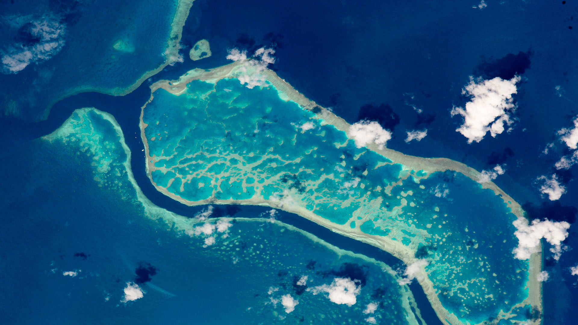 从国际空间站拍摄的大堡礁 (© NASA) - 2017/02/01 从国际空间站拍摄的大堡礁 (© NASA) - 2017/02/01