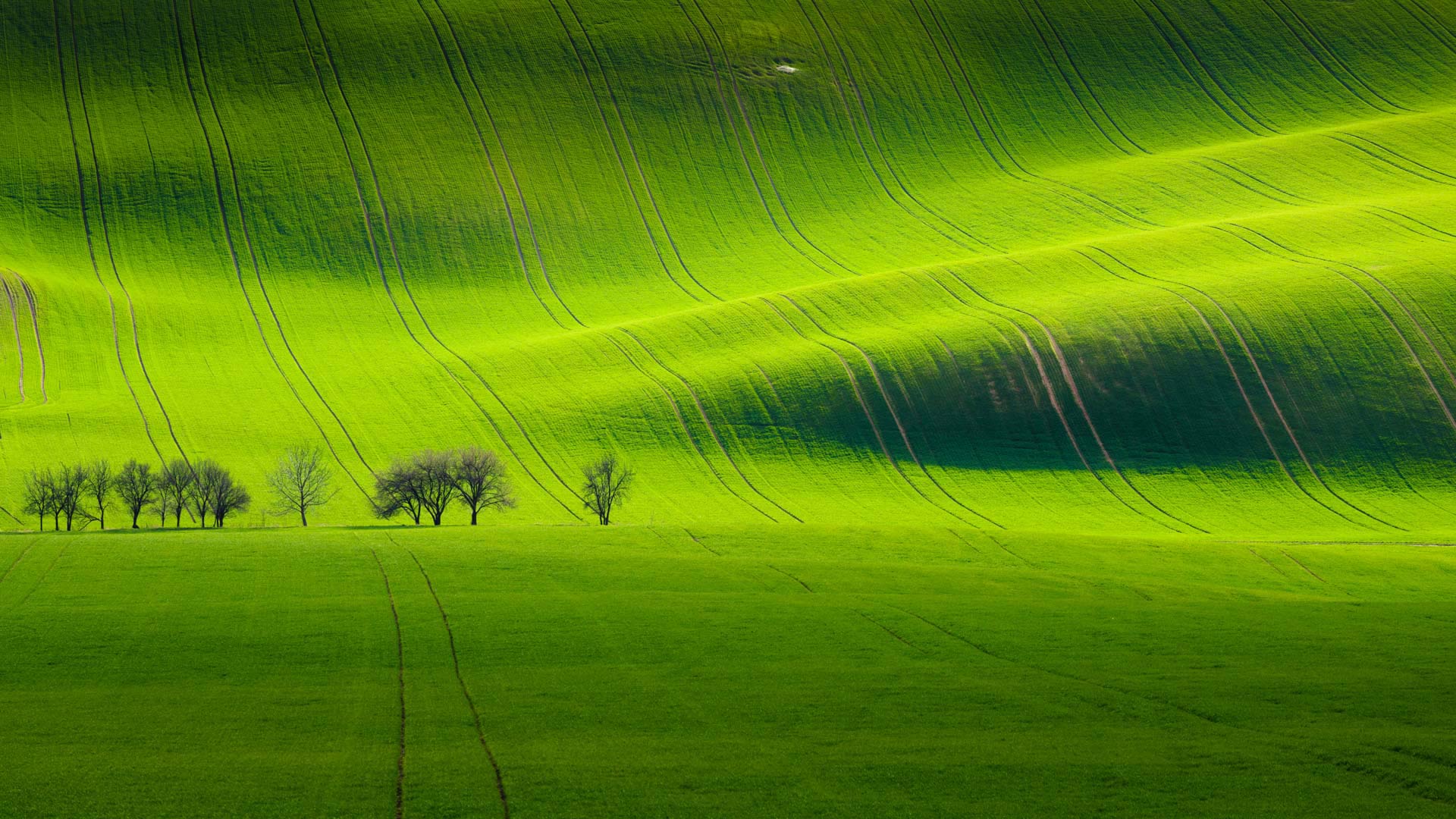 基约夫附近的南摩拉维亚风景,捷克共和国 (© Tomas Vocelka/500px) - 2017/04/30 基约夫附近的南摩拉维亚风景,捷克共和国 (© Tomas Vocelka/500px) - 2017/04/30